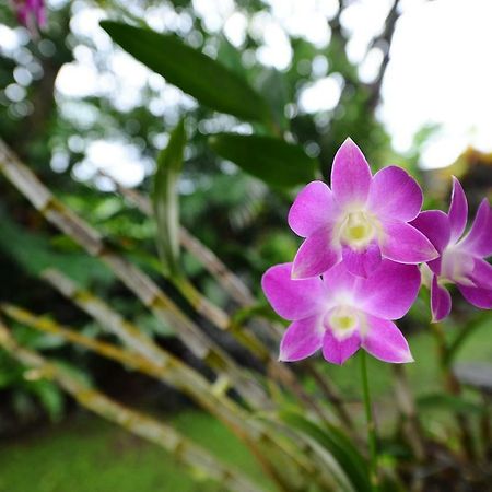 Villa Mimpi Ubud Kültér fotó